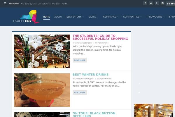 livablecny.com site used TheStyle