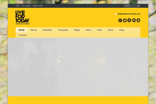 Dt-pressmate theme site design template sample