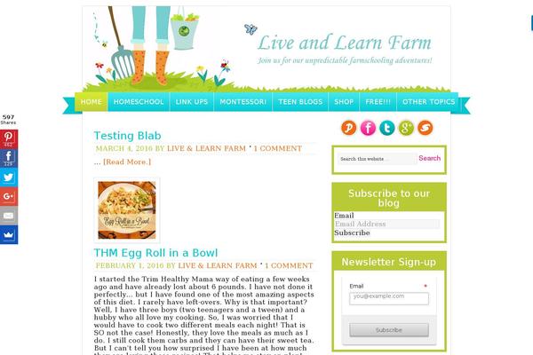 WordPress website example screenshot