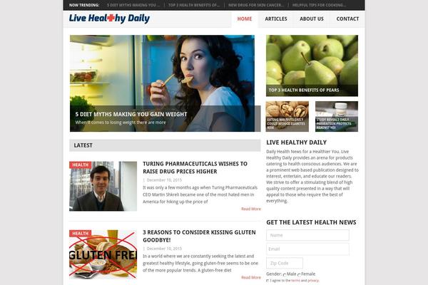 Point theme site design template sample