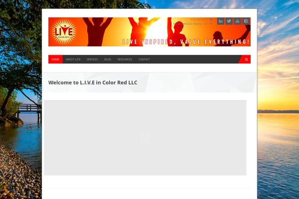 CleanBIZ theme site design template sample
