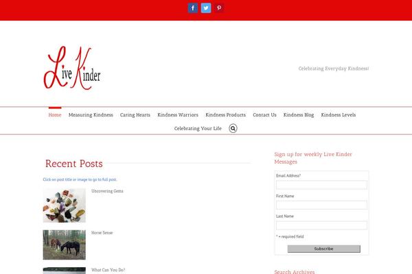 Avada_new theme site design template sample