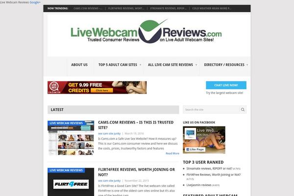 Point theme site design template sample