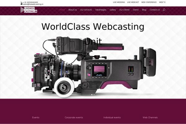 Site using Bgvideo-master plugin