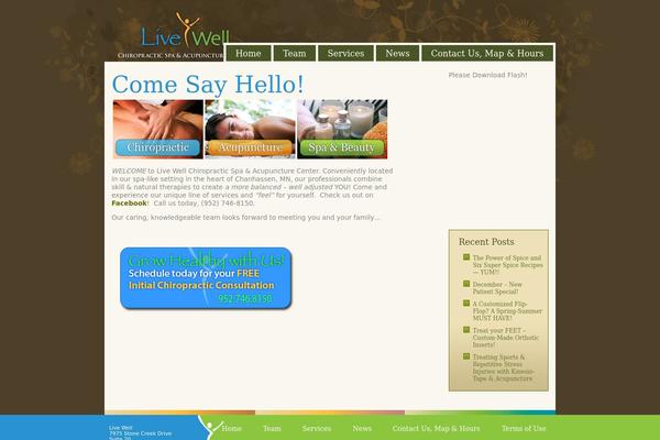 livewelltwincities.com site used Bluebrown