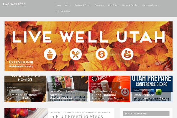 Site using PDF & Print by BestWebSoft plugin