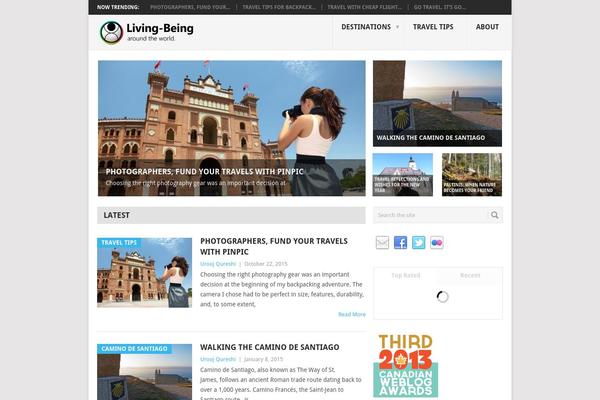 Point theme site design template sample