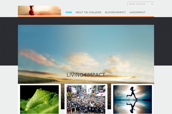 D5 Design theme site design template sample