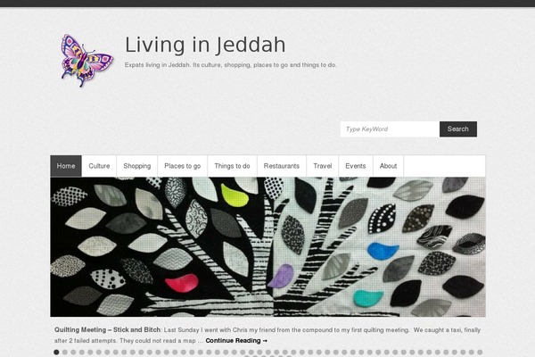 Simple Catch theme site design template sample