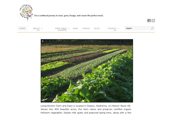 Platform theme site design template sample