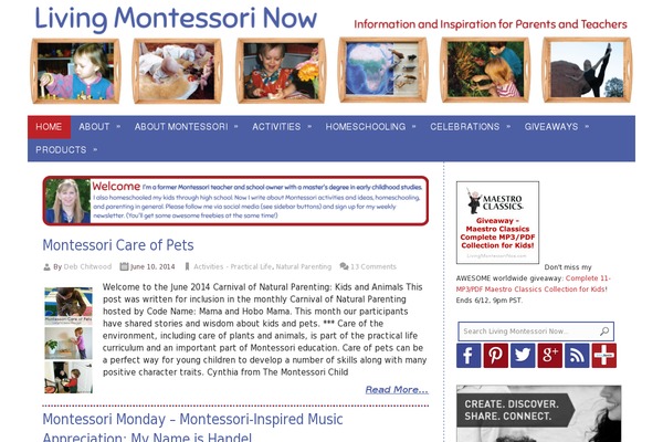 Genesis theme site design template sample