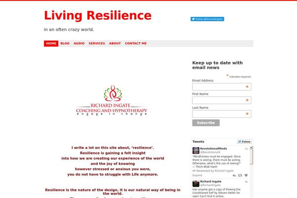 Debut theme site design template sample