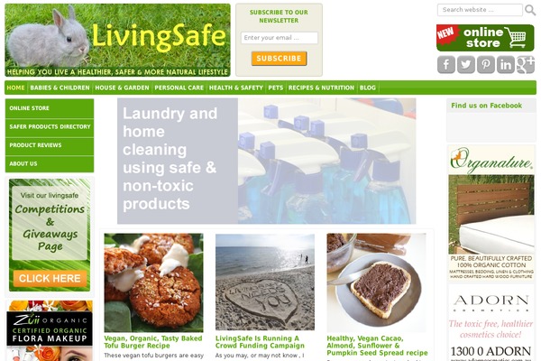 Lifestyle Pro theme site design template sample