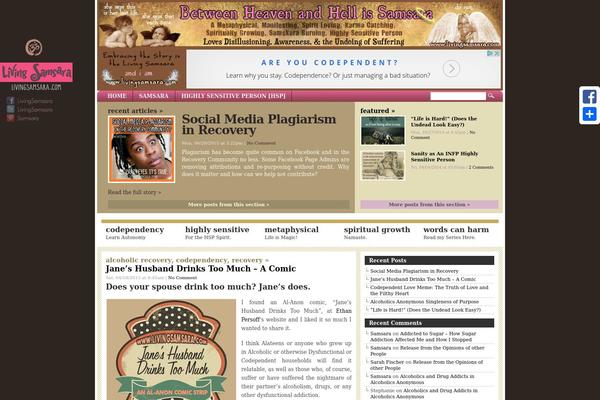 Site using Amazon-affiliate-link-localizer plugin