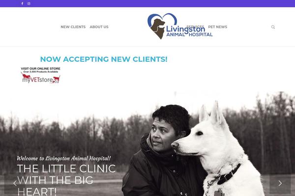 Site using Lifelearn-accessibility plugin