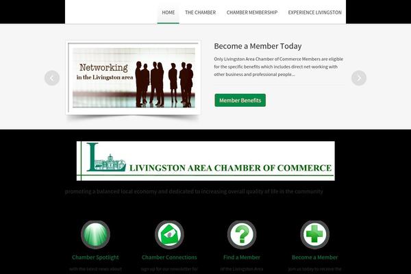 Traffica theme site design template sample