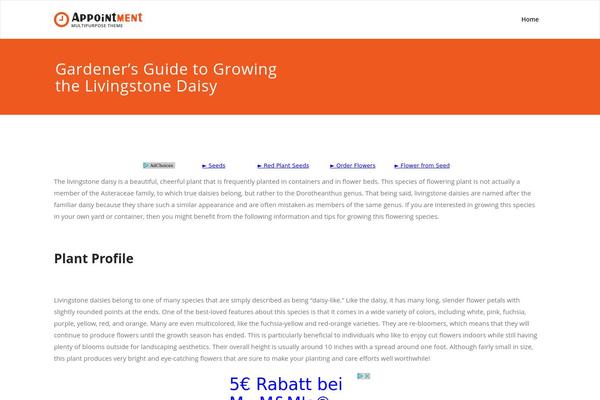 Appointment theme site design template sample