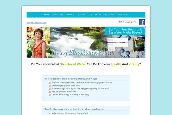 Twenty Twelve theme site design template sample