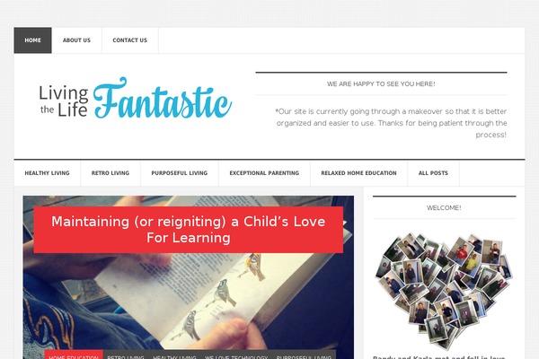 livingthelifefantastic.com site used Gallery-pro