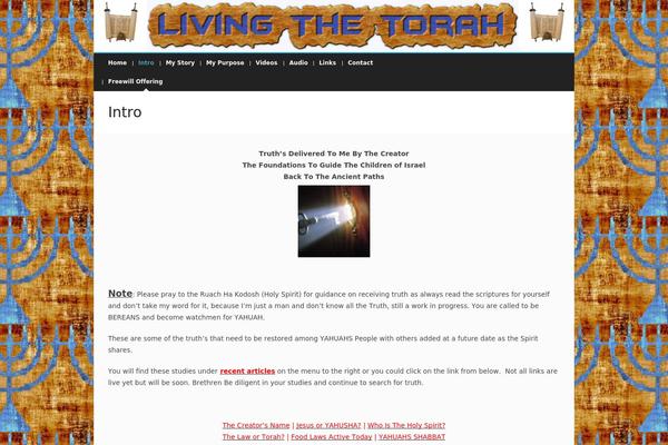 Pinpoint theme site design template sample