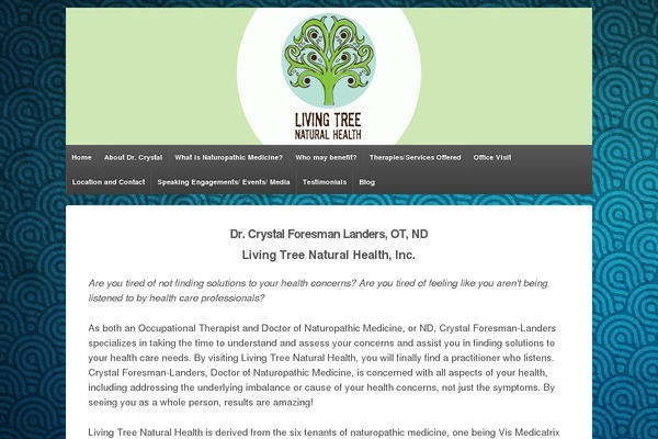 Site using All in One SEO Pack plugin