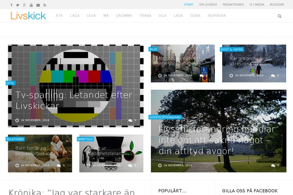 Minimal Grid theme site design template sample