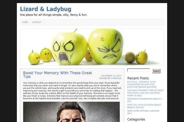 Asokay theme site design template sample
