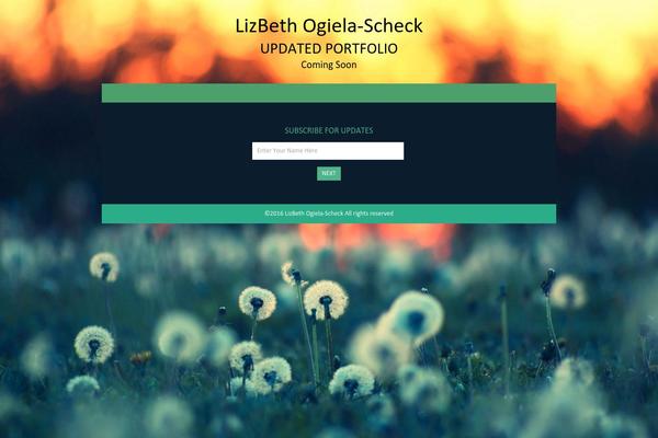 Envisioned theme site design template sample