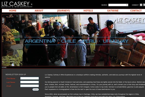 lizcaskey.com site used Novita