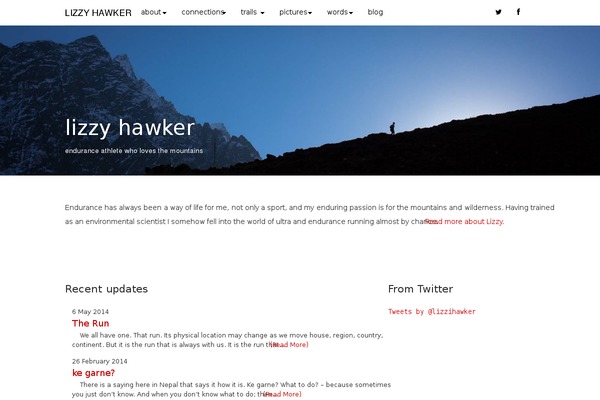 lizzyhawker.com site used Lizzy-flattheme
