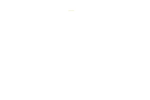 Site using Cws-svgicons plugin