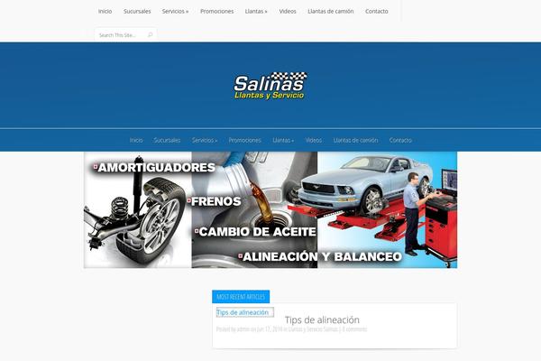 llantasyserviciosalinas.com site used Lucid