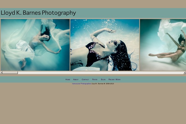 Site using Instagram for WordPress plugin