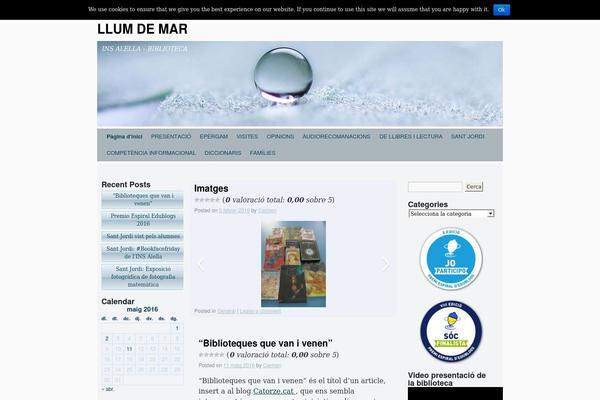 Silver Spot theme site design template sample