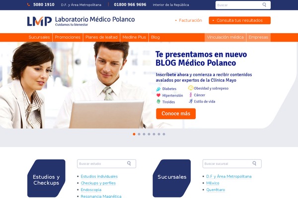 lmp theme websites examples