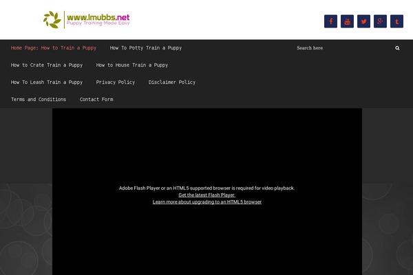 P1-video-magnet theme site design template sample