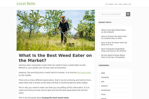 Focusblog theme site design template sample