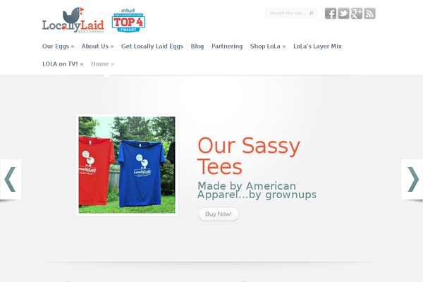 Leanbiz theme site design template sample
