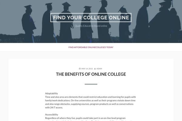 Toivo Lite theme site design template sample