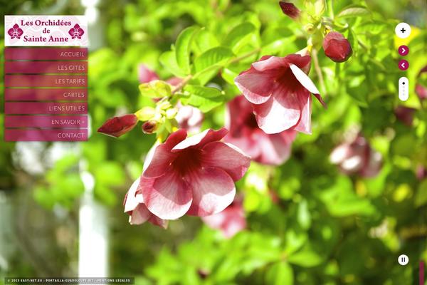 Kaleido theme site design template sample