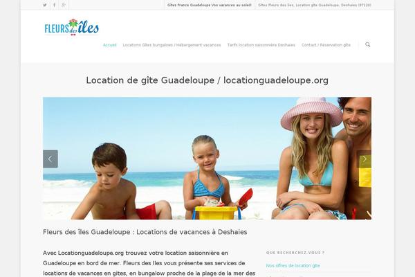 Salient theme site design template sample