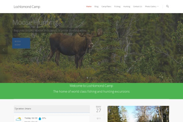 Salient theme site design template sample