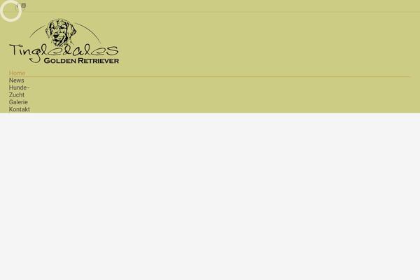 The7 Child theme site design template sample