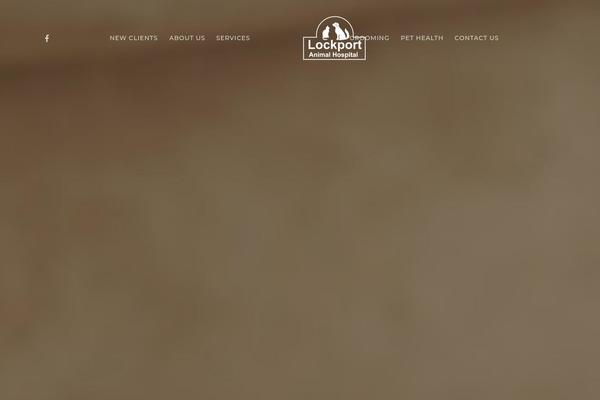 Site using Lifelearn-accessibility plugin