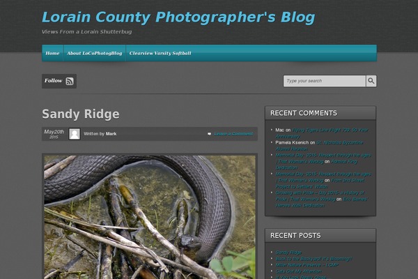 evolve theme site design template sample