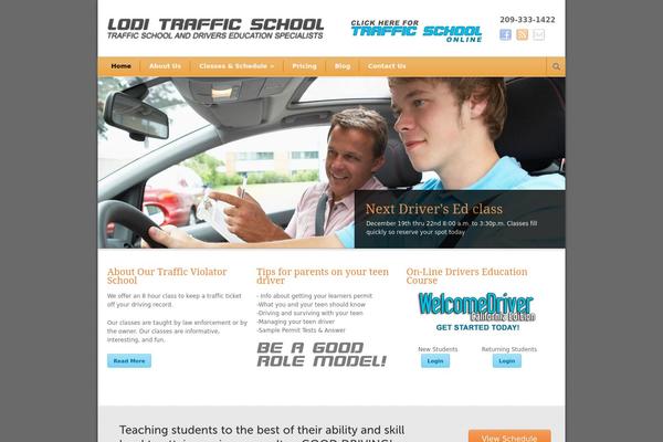 Modernize theme site design template sample