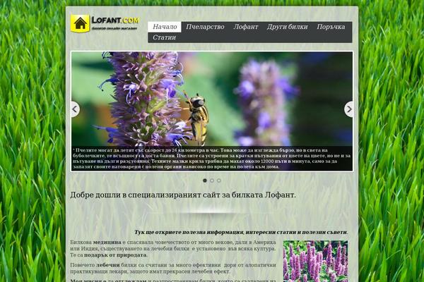 BizStudio Lite theme site design template sample