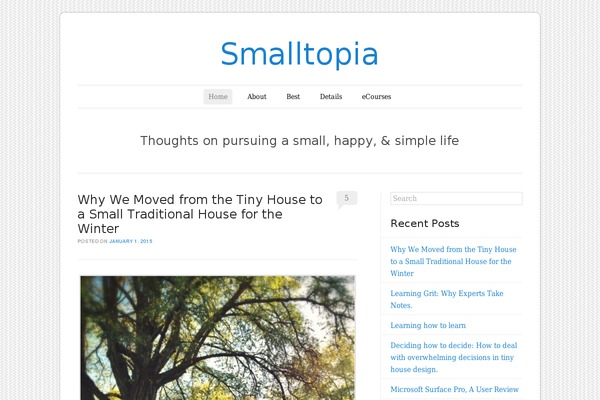 Forever theme site design template sample