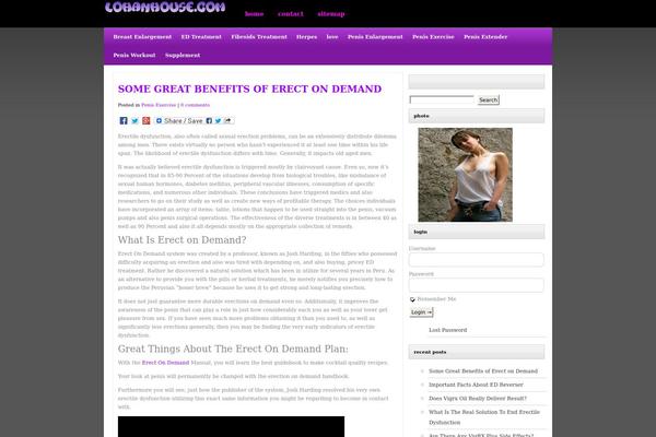 WhosWho theme site design template sample