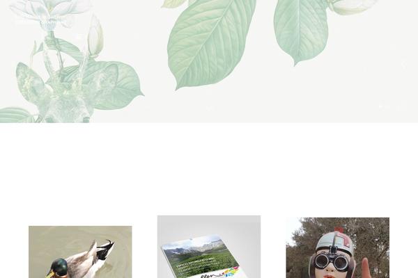 Site using Customify plugin